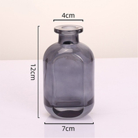 Vente en gros 150ml Bâtons de roseau en rotin Diffuseur de parfum de maison Diffuseur de roseau givré vide Bouteille en verre avec couvercle