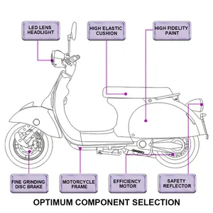 Scooter de mobilité à vitesse rapide/moto électrique Rechargeable/moto électrique à Double batterie au Lithium cee