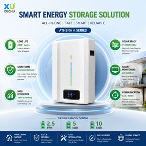แบตเตอรี่ติดผนัง 25.6V 51.2V 100Ah 200Ah 2.5kWh 5kWh 10kWh สำหรับเก็บพลังงานแสงอาทิตย์ ระบบสำรองไฟบ้าน ระบบออฟกริด - Product Image 2
