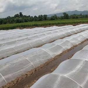 Filet à mailles anti-insectes multi-usages pour potagers, vergers et serres avec une construction HDPE solide - Product Image 6