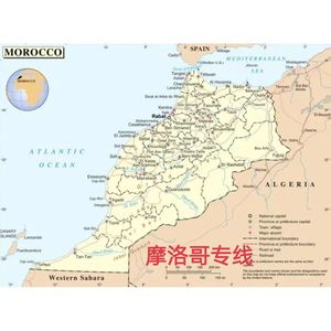 Blue Sail International, transport maritime international, Guangzhou vers la Hongrie, service logistique express LCL - Product Image 2