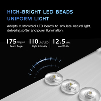 Bande LED rétroéclairée prix usine 220V, sans transformateur, 2835SMD, avec film diffuseur réfléchissant