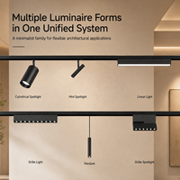 Système d'éclairage sur rail magnétique LED intelligent de haute qualité pour la maison, spot à angle réglable, Casambi Dali CCT réglable pour les résidences de luxe