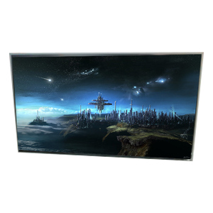 Pantalla LCD WLED LD490EQG-FNA3 de 49.0 pulgadas y 3840*2160 de Alta Gama al por Mayor - Product Image 1