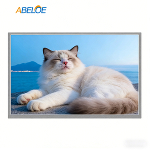 Écran LCD industriel AUO 12,1 pouces 800x600 500 nits, large plage de température (-30 à 85°C) ° C pour équipement de plein air G121STN02.0 - Product Image 1