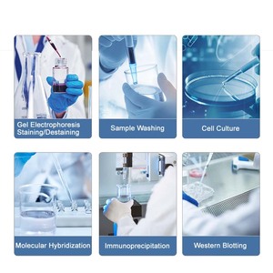 Agitador de decoloración Universal multifuncional de laboratorio, agitador de líquido, mezclador, pantalla LCD, agitador <span class=keywords><strong>orbital</strong></span> y lineal rotativo - Product Image 6