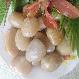 Pierres décoratives pour pot de <span class=keywords><strong>jardin</strong></span> de 5 kg (11 lb), grandes pierres de rivière polies de 1 à 3 pouces, galets pour pots de plantes, vases - Product Image 5