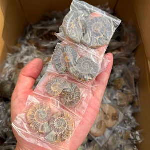Tranche d'Ammonite Arc-en-ciel Esthétique, Pierre de Cristal Irisée pour Guérison Métaphysique, Méditation, Décoration, Cadeau Scientifique Unique - Product Image 3