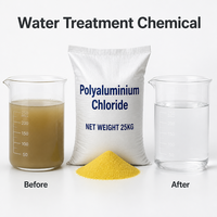 PAC pour le traitement des raffineries de sucre, poudre de chlorure de polyaluminium 30%