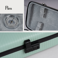 RM arc-en-ciel de haute qualité en fibre de carbone étui pour violon couverture en cuir en fibre de verre matériel dur instrument de musique sac pour le stockage