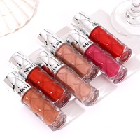 Gloss à lèvres six couleurs effet repulpant hydratant fini brillant longue tenue laiteux
