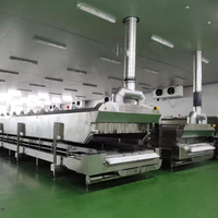 Dezoton Ultra Low Temperature Tunnelvriezer, continu snelvriesapparatuur voor fruit, groenten en voedsel