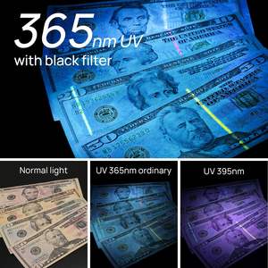 Portable Mini 365nm UV Pen Light Flashlight with Clip Black Filter Ultraviolet for Pet Urine Hotel Inspection <strong>Scorpion</strong> - Product Image 5