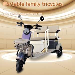 Triciclo Elettrico di Lusso Direttamente dalla Fabbrica, Bicicletta Elettrica <span class=keywords><strong>con</strong></span> Tettuccio, Triciclo Elettrico per Bambini - Product Image 6