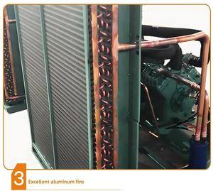 Bán Hot Odin FH12-25 380V cho máy nén động cơ làm mát bằng không khí ngưng đơn vị cho phòng lạnh năng suất cao Nhà máy trực tiếp - Product Image 3