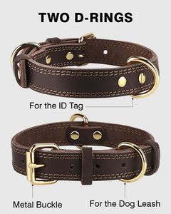 Massives Hunde halsband aus echtem Leder Verstellbares Halsband Schnell verschluss Langlebiges Trainings halsband Gute Qualität für Wander hunde - Product Image 2
