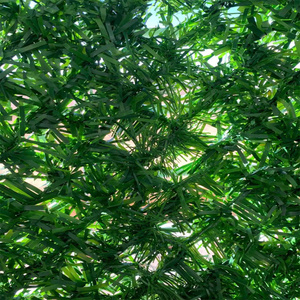 Gấp <span class=keywords><strong>PVC</strong></span> nhân tạo vườn lưới cho đẹp bãi cỏ và hàng rào - Product Image 2