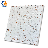Carrelage Rustique Moderne 600x600mm 9mm d'épaisseur Antidérapant Effet Pierre Texturé Intérieur Résistant aux Acides Antibactérien Bordures Salle de Bain Villa