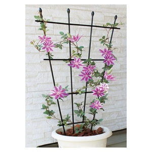 Plantes de jardin grimpantes, 40 cm/90cm/120cm, Support de plante, Cage de <span class=keywords><strong>tomate</strong></span>, treillis pour plantes grimpantes - Product Image 2