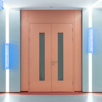 Porte de passage en acier avec vitre large, certifiée ISO9001, garantie 3 ans, anti-poussière et isolée, pour couloirs de bureaux d'entreprise