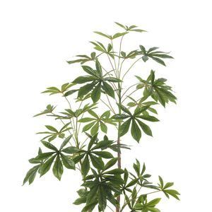 Commercio all'ingrosso della fabbrica di plastica albero decorazione per la casa artificiale di manioca albero pianta finta per la casa del giardino Hotel decorazione - Product Image 5