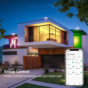 Smart Led <b>Light</b> Indoor Color Changing 10W Smart <b>Remote</b> Control RGB WW Led <b>Bulb</b> <b>Light</b> - Product Image 4