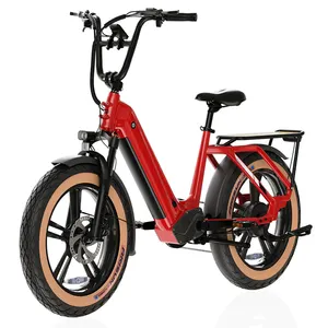 Factory Direct Sales 48V 19.6Ah Electric Cycles 20 Inch Ebike 750W Electric Mountain Bike