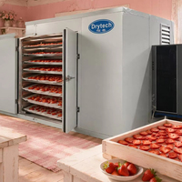 Machine de séchage de fruits de dernière technologie, machine de séchage de chips de banane