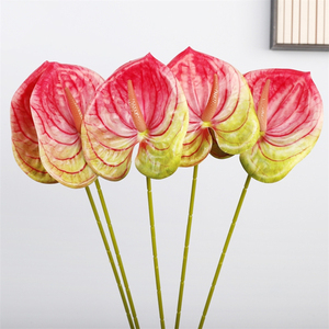 Hot-bán <span class=keywords><strong>anthurium</strong></span> hoa nhân tạo cảm ứng thực sự trang trí đám cưới nhựa hoa <span class=keywords><strong>anthurium</strong></span> Đỏ trắng xanh <span class=keywords><strong>anthurium</strong></span> cho trang trí nội thất - Product Image 4