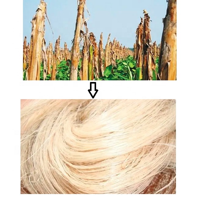 banana fiber extractor