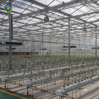 Sainpoly Serre Économique en Verre Intelligent Multi-travées pour Agriculture Hydroponique