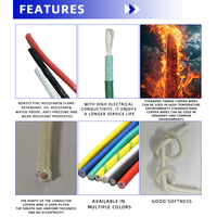 300 ° Câble en silicone haute température, cuivre étamé, fibre de verre tressée, résistant au feu, fil flexible pour équipement de chauffage de four
