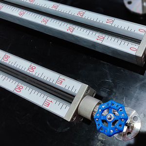 Jauge de niveau à tube de quartz réfléchissant/transparent avec raccord à bride en acier inoxydable DN20, indicateur lumineux LED 24V/220V, garantie 3 ans - Product Image 6