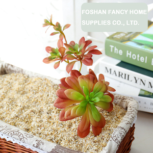 Plantes grimpantes artificielles en plastique <span class=keywords><strong>Lithops</strong></span>, succulentes écologiques, fournitures créatives DIY, accessoires muraux végétaux, fleurs - Product Image 4