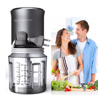 Ventes populaires multifonctionnel 500ML électrique igname pilon hachoir à viande hachoir robot culinaire