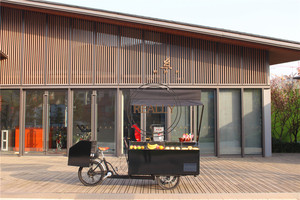 2025 motorizzato moderno caffè <span class=keywords><strong>bici</strong></span> su misura di vendita Mobile carrelli Food Bike Snack triciclo elettrico per la vendita - Product Image 3