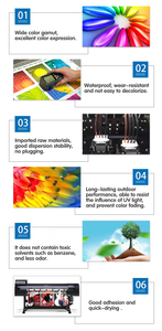 High Quality 1L Hot Sale Eco Solvent Ecosolvent Eco-Solvent Vinyl Ink for <strong>Ricoh</strong> <strong>GEN4</strong> GEN5 GEN6 GH2220 <strong>Printhead</strong> - Product Image 2