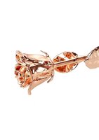 Roosgouden gedipte echte roos met hoogwaardige cadeauverpakking, eeuwige gouden roos, cadeau voor Moederdag, Kerstmis, Valentijnsdag, jubileum.