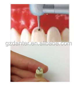 نموذج أسنان للتدريب Typodont من Nissin Kilgore Frasaco متوافق مع Columbia، مصنوع من الراتنج، 28 و 32 سنًا - Product Image 4