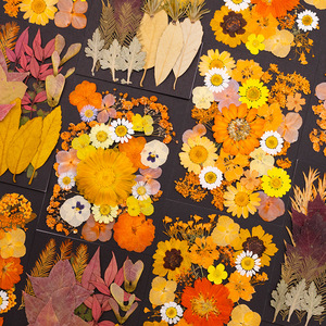 2 Cornici In Vetro Per Fiori Pressati 10x15 Cm - Doppio Vetro E Cornice In Ottone, Con Catena Dorata Staccabile - Ideale Per Decorazione Fai Da Te E Regalo - Colore Oro