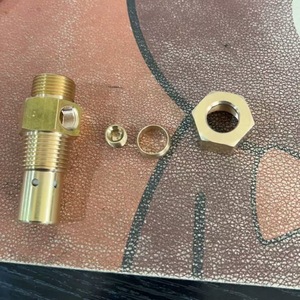 Plowing Copper Vertical Check Valve 1/2 In Gas Normal Temperature General Application OEM Customized - Product Image 2