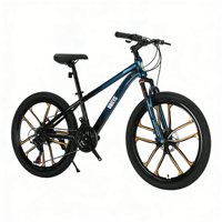 Vélo de montagne VTT pour hommes à prix d'usine, vélo de montagne en acier, vélo de plage 26 pouces, vélo de descente à pneus larges