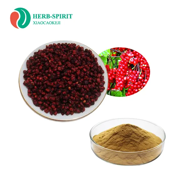 Ekstrak Bunga Schizandra Berry Bubuk Ekstrak Schisandra Chinensis 2% ~ 9% Schiomrin Oleh HPLC