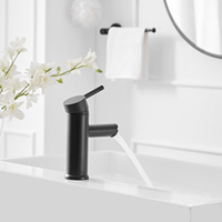 Salle de bain moderne de luxe Robinet de lavabo à poignée unique noir wc hôtel robinet d'eau en acier inoxydable