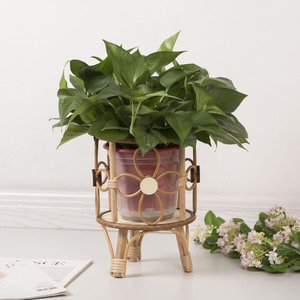 Support à fleurs en rotin tissé à la main, design circulaire, petite taille, décoration d'intérieur, porte-pot de plante - Product Image 1