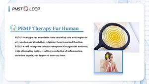 Mới Xách Tay Pmst Vòng Mat Pemf Pro Max Ngựa Từ Physio Magneto Xung Thiết Bị Điều Trị Cho Con Người Và Ngựa - Product Image 3