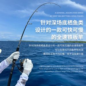 ECOODA-<span class=keywords><strong>Canne</strong></span> <span class=keywords><strong>à</strong></span> <span class=keywords><strong>pêche</strong></span> en PE pour <span class=keywords><strong>pêche</strong></span> en eau salée, modèle GT-FISHER BLACK LIGHT BJ, 100-300g, 185-2.0g, 4.0 cm - Product Image 5