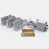 Machine de comptage et d'emballage automatique pour sachets de fruits secs