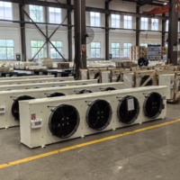 Enfriador de Aire Industrial Tipo DD para Techo, Evaporador para Cámaras Frigoríficas, Refrigeración, Personalizado OEM