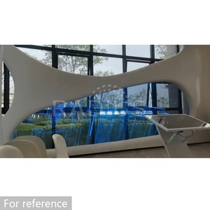High Performance Ultra Thin Flexible <b>Film</b> Screen LED Display P3 P6 HD Transparent Video Wall for Retail Stores RDGFI-0408 Transp - Product Image 5